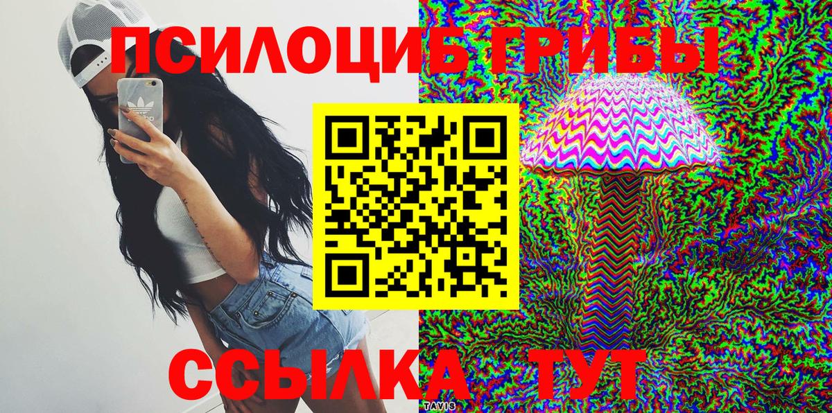 Чернушка  Галлюциногенные грибы ЛСД  Вход с VPN 