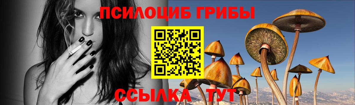 Псилоцибиновые грибы Psilocybine cubensis Чернушка